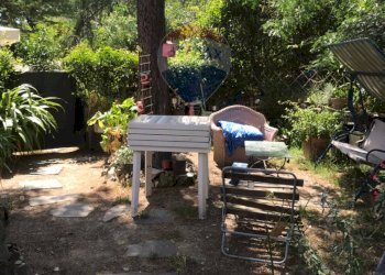 Giardino - Casa semi indipendente Rosignano Marittimo - foto 66