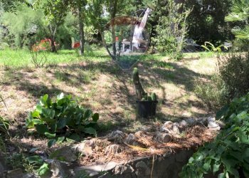 Giardino - Casa semi indipendente Rosignano Marittimo - foto 67