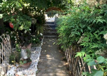 Giardino - Casa semi indipendente Rosignano Marittimo - foto 68