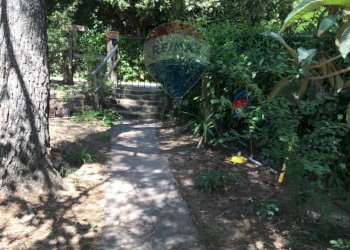 Giardino - Casa semi indipendente Rosignano Marittimo - foto 69