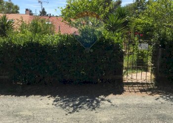 Giardino - Casa semi indipendente Rosignano Marittimo - foto 70