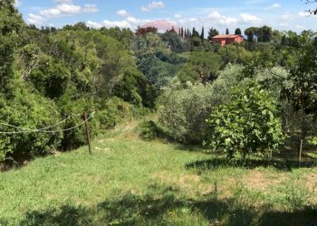 Giardino - Casa semi indipendente Rosignano Marittimo - foto 73