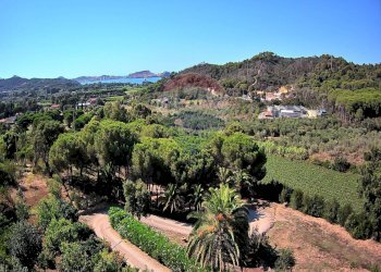 Vista delle montagne - Villa Portoferraio - foto 69