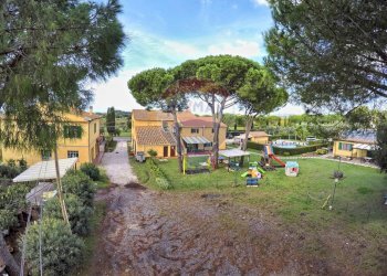 Giardino - Agriturismo Cecina - foto 21