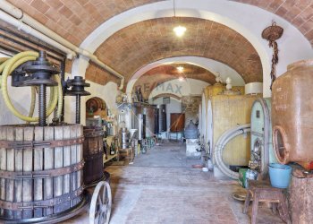 Scale - Agriturismo Cecina - foto 24