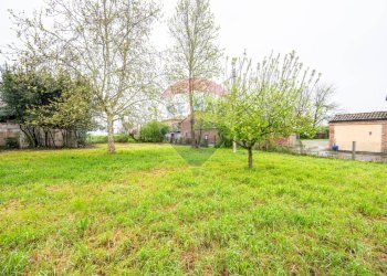 Giardino - Casa semi indipendente VIA ROMA
 
38, San Martino del Lago - foto 19