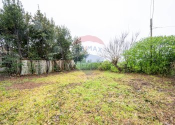 Giardino - Casa semi indipendente VIA ROMA
 
38, San Martino del Lago - foto 26