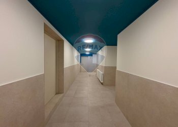 Hall / corridoio - Trilocale Via Costalunga
 
1/3, Trieste - foto 22