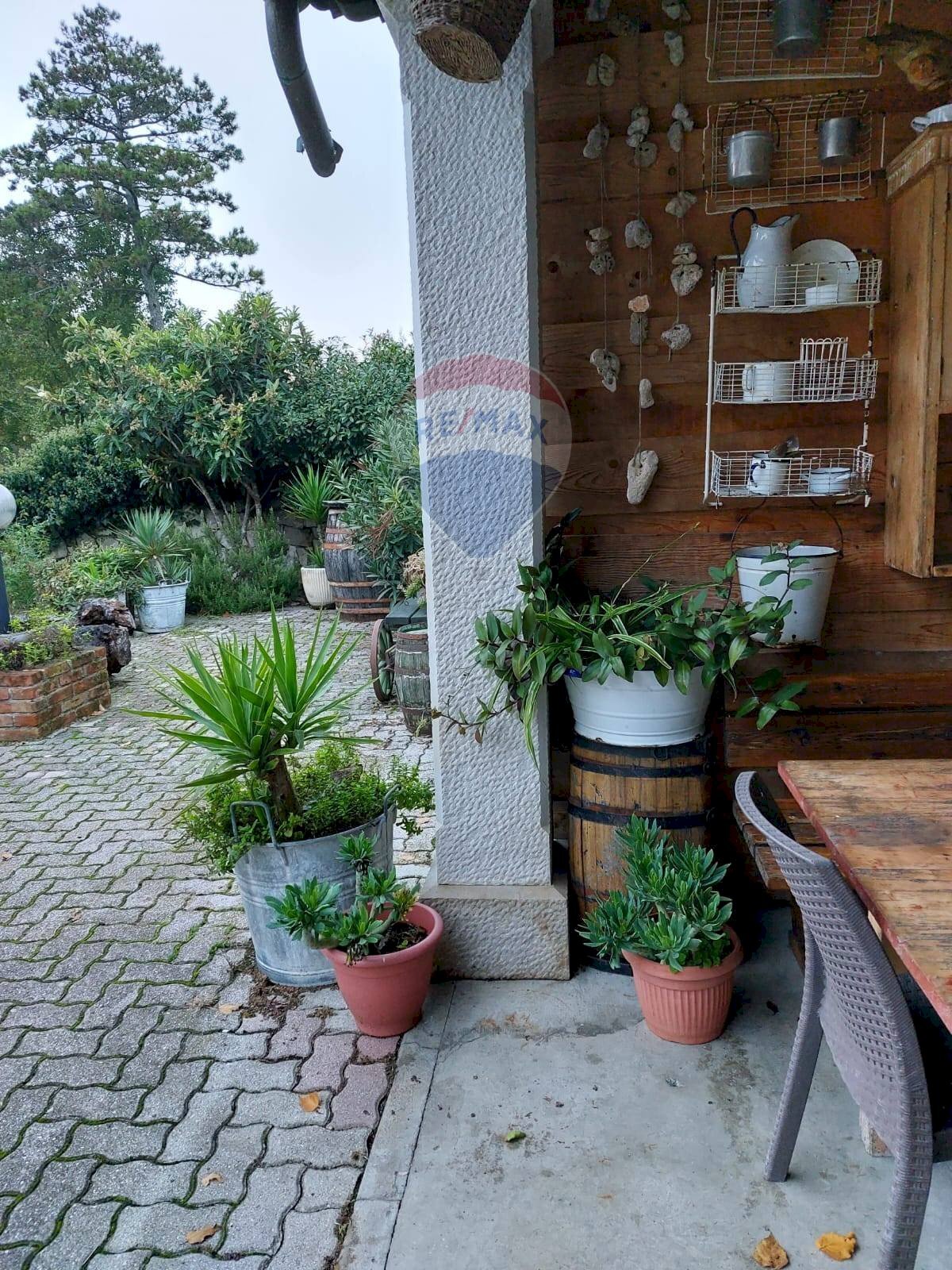 Terrazza - Locale Commerciale TERNOVA
16, Duino-Aurisina - foto 3