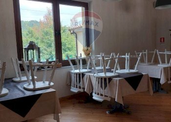 Camera / camera da letto - Commercial Premises TERNOVA
 
16, Duino-Aurisina - photo 19