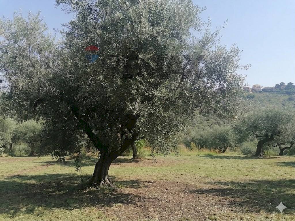 Giardino - Building land VIA LUDOVICO ARIOSTO, Moscufo - photo 1