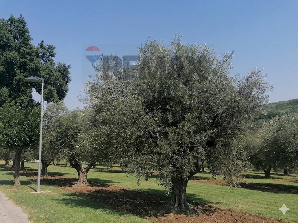 Giardino - Building land VIA LUDOVICO ARIOSTO, Moscufo - photo 3