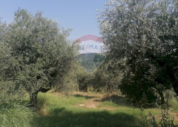 Giardino - Terreno edificabile VIA LUDOVICO ARIOSTO, Moscufo - foto 5