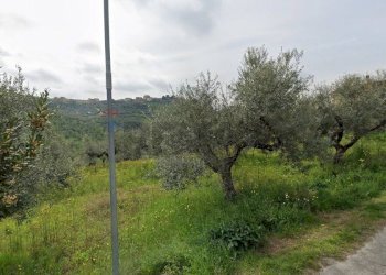 Giardino - Terreno edificabile VIA LUDOVICO ARIOSTO, Moscufo - foto 9