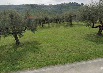 Giardino - Terreno edificabile VIA LUDOVICO ARIOSTO, Moscufo - foto 6