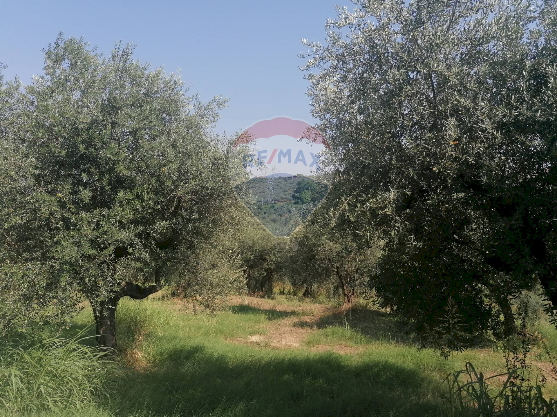 Giardino - Terreno edificabile VIA LUDOVICO ARIOSTO, Moscufo - foto 3