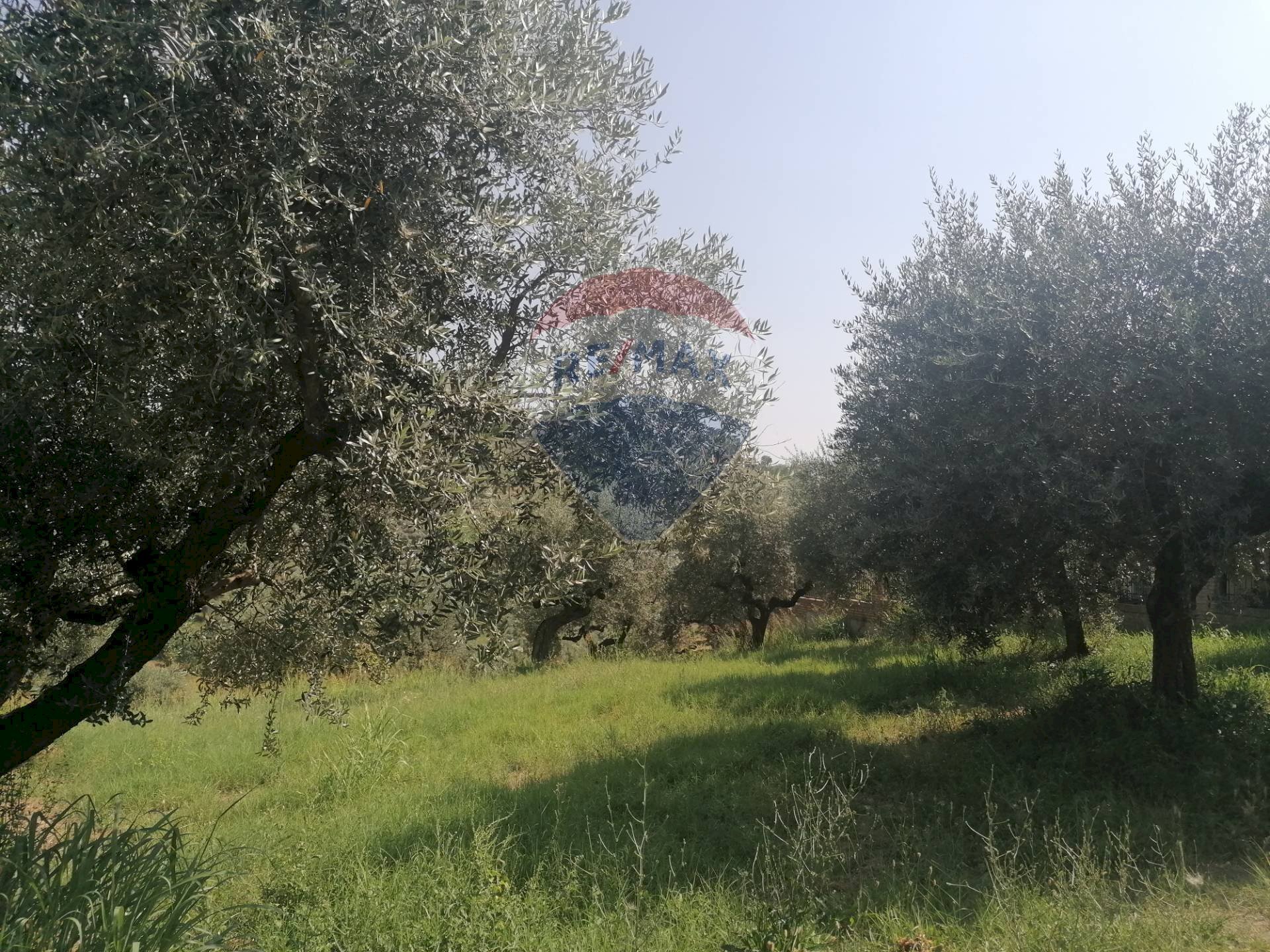 Giardino - Terreno edificabile VIA LUDOVICO ARIOSTO, Moscufo - foto 1