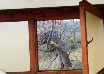 Dettagli - Casa indipendente colle Pagnotto, Pretoro - foto 23