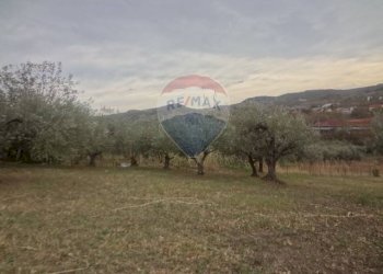 Non correlato - Terreno edificabile Colle Pagnotto, Pretoro - foto 2