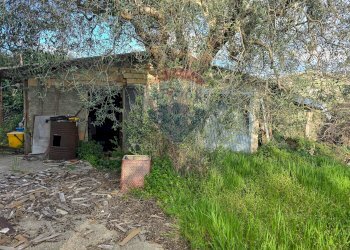 magazzino e  locale caldaia - Casa indipendente CONTRADA CONA
 
2, Villamagna - foto 30