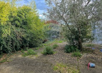 giardino - Casa indipendente CONTRADA CONA
 
2, Villamagna - foto 35