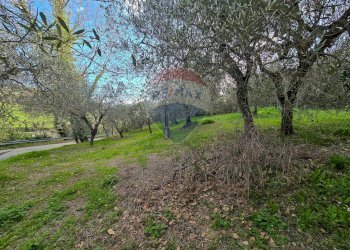 Giardino - Casa indipendente CONTRADA CONA
 
2, Villamagna - foto 62
