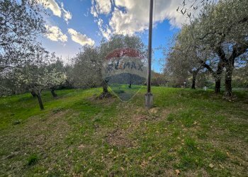 Giardino - Casa indipendente CONTRADA CONA
 
2, Villamagna - foto 63