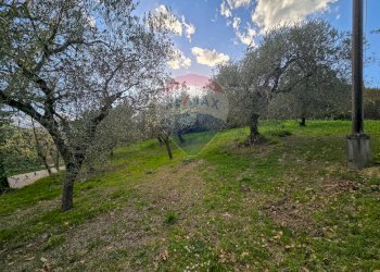 Giardino - Casa indipendente CONTRADA CONA
 
2, Villamagna - foto 64