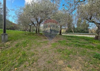 Giardino - Casa indipendente CONTRADA CONA
 
2, Villamagna - foto 66