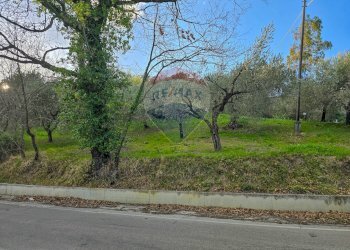 Giardino - Casa indipendente CONTRADA CONA
 
2, Villamagna - foto 67