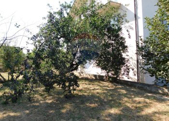 Giardino - Casa indipendente VIA CASENUOVE
 
92, Rapino - foto 23