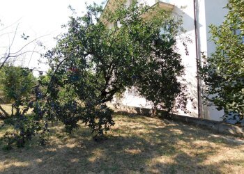 Giardino - Casa indipendente VIA CASENUOVE
 
92, Rapino - foto 31