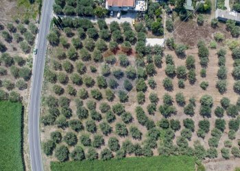 Posizione della mappa - Terreno edificabile Via Piane, Ortona - foto 8