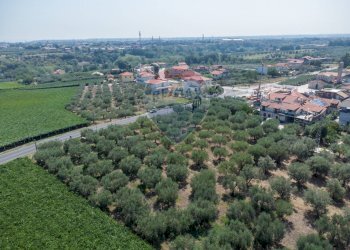Vista delle montagne - Terreno edificabile Via Piane, Ortona - foto 12
