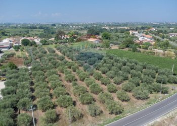 Non correlato - Terreno edificabile Via Piane, Ortona - foto 2