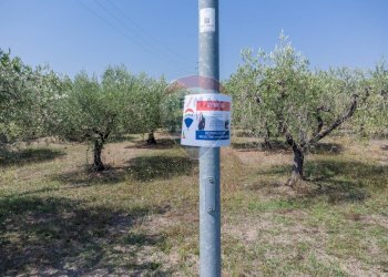 Giardino - Terreno edificabile Via Piane, Ortona - foto 13