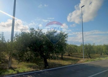 Edificio all\'aperto - Terreno edificabile Via Piane, Ortona - foto 14