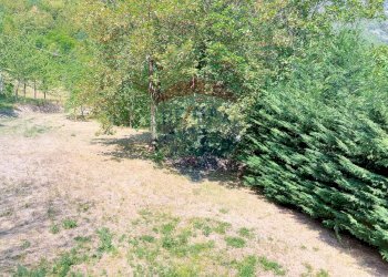 terreno - Villa C/DA VERSANTE AL BOSCO, Carpineto della Nora - photo 58