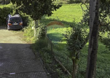 Giardino - Casa semi indipendente VIA TAVO
 
286, Pescara - foto 38