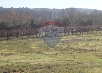 Vista delle montagne - Terreno edificabile CONTRADA CERRETO
 
332, Miglianico - foto 3