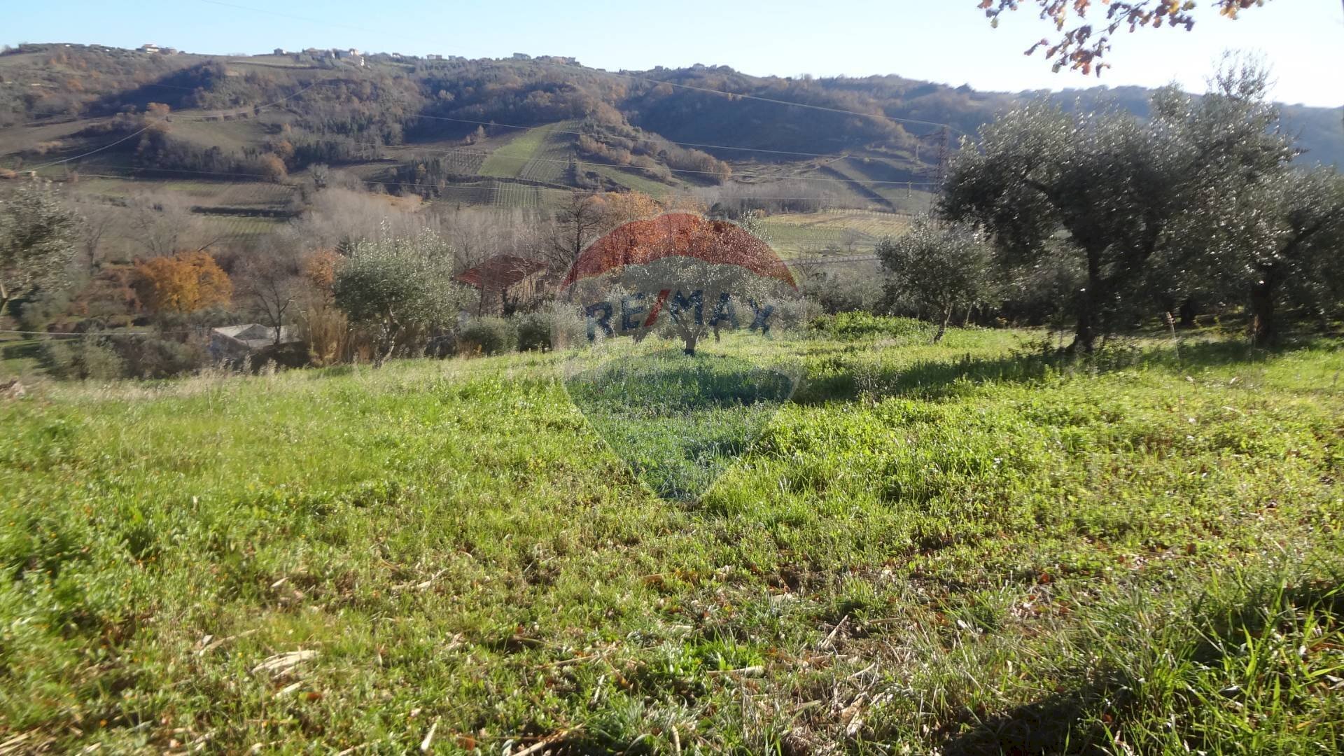 Vista delle montagne - Terreno agricolo via papa Giovanni XIII, Miglianico - foto 3