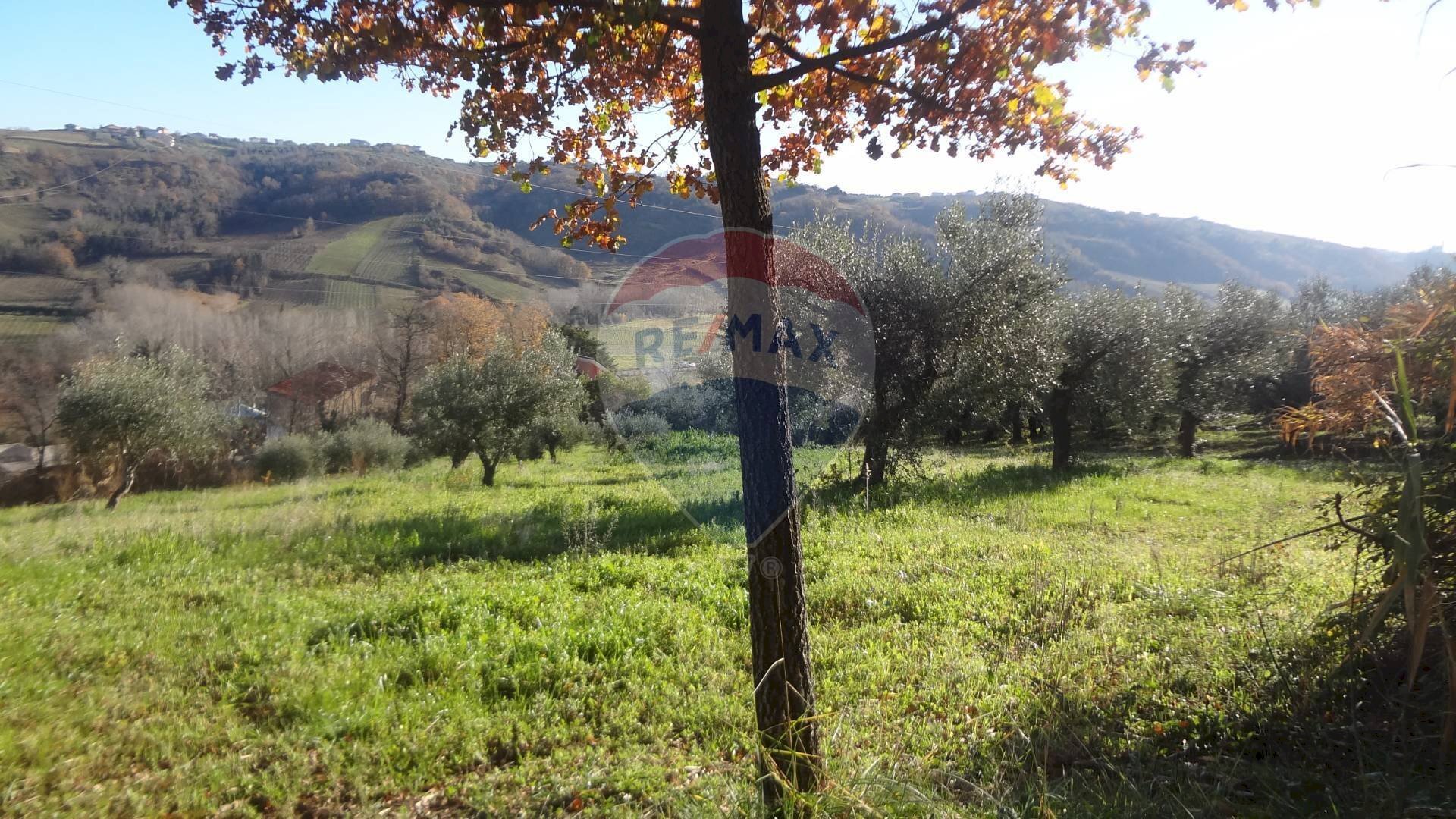Vista delle montagne - Terreno agricolo via papa Giovanni XIII, Miglianico - foto 1