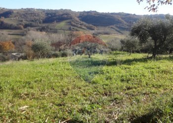 Vista delle montagne - Terreno agricolo via papa Giovanni XIII, Miglianico - foto 3