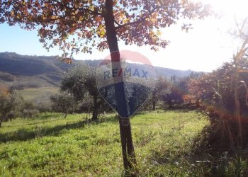 Vista delle montagne - Terreno agricolo via papa Giovanni XIII, Miglianico - foto 7