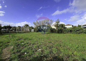 Giardino - Appartamento VIA TAVO
 
286, Pescara - foto 4