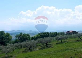 Vista delle montagne - Independent house Via Rocco Terenzi
 
snc, Elice - photo 24