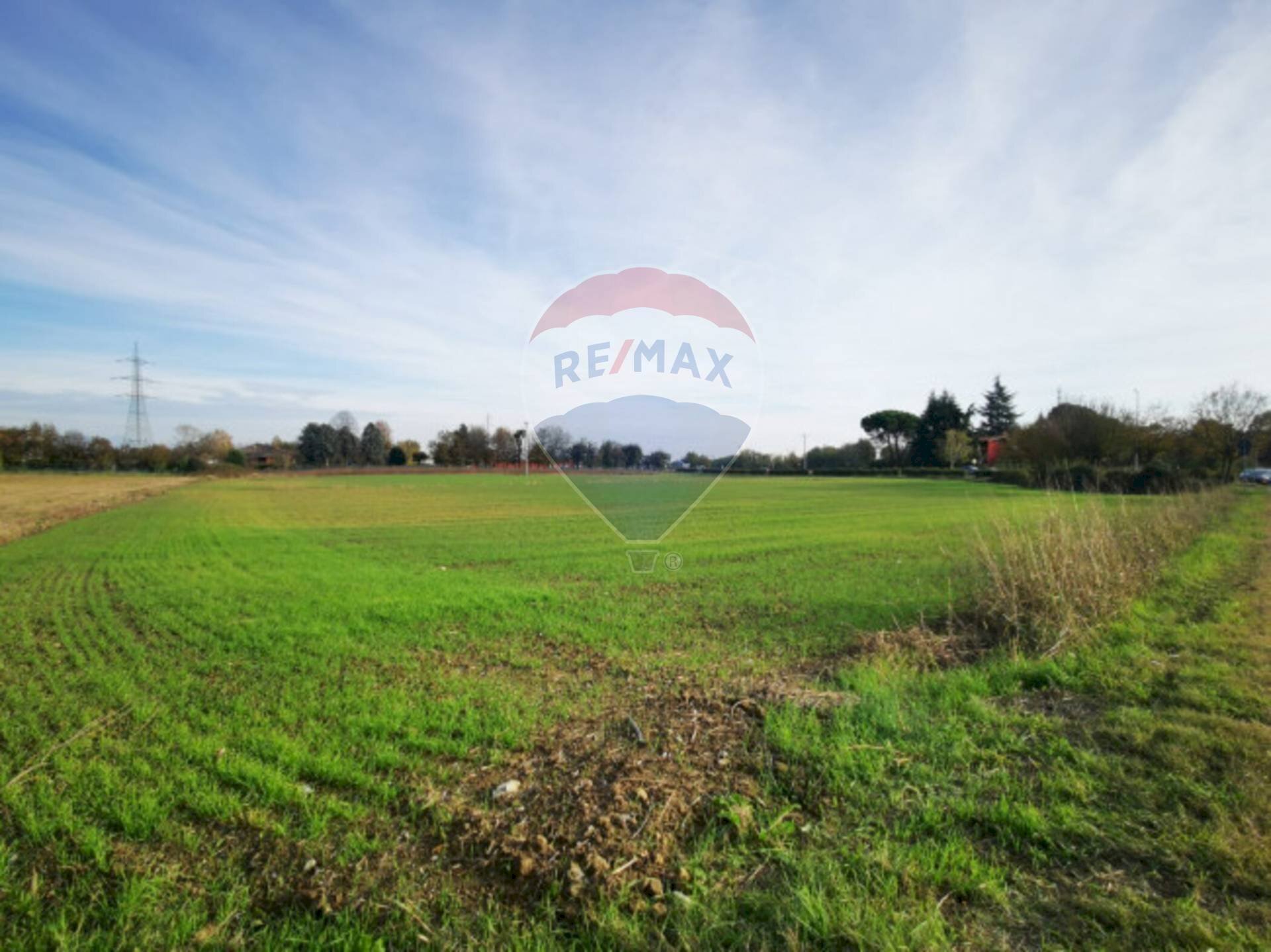 Giardino - Terreno agricolo Carvico - foto 3