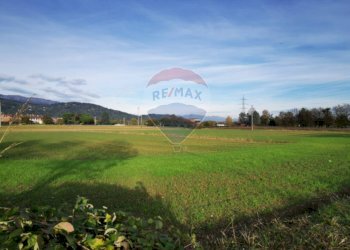 Giardino - Agricultural land Carvico - photo 2