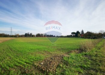 Giardino - Agricultural land Carvico - photo 3