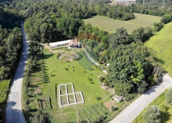 Giardino - Terreno agricolo Medolago - foto 2